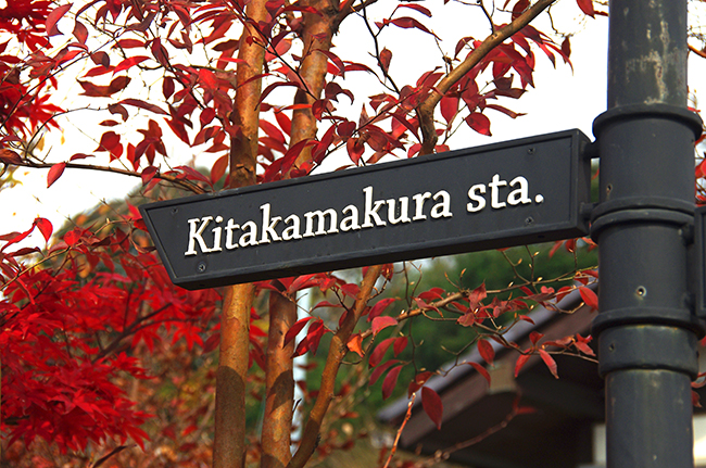 鎌倉獅子舞の紅葉 天園ハイキングコース 山旅ロッジ