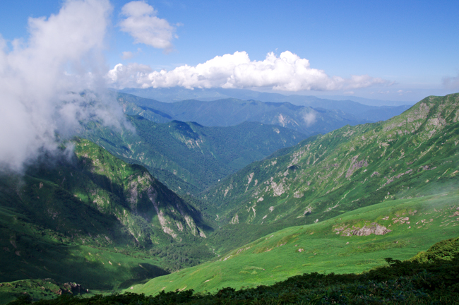 %e8%b0%b7%e5%b7%9d%e5%b2%b38%e6%9c%88%e8%a5%bf%e9%bb%92%e5%b0%be%e6%a0%b9%e6%97%a5%e5%b8%b0%e3%82%8a-18