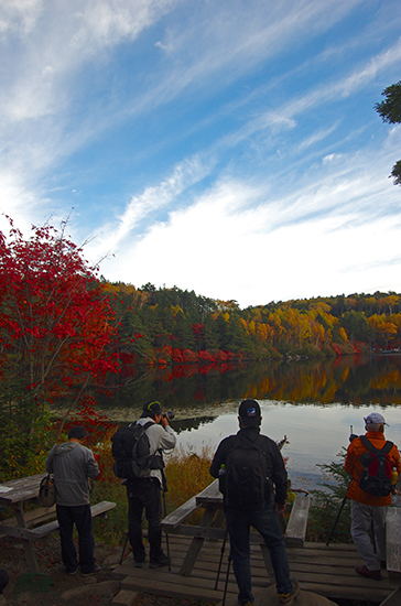 白駒池紅葉2014-8
