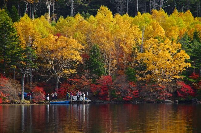 白駒池紅葉2014-15