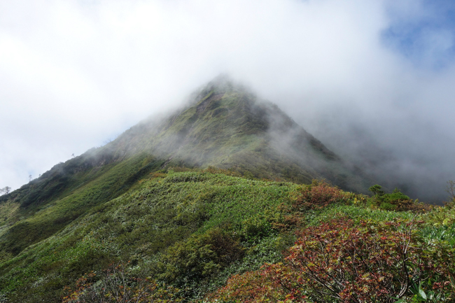 %e8%8b%97%e5%a0%b4%e5%b1%b19%e6%9c%88%e6%97%a5%e5%b8%b0%e3%82%8a-11