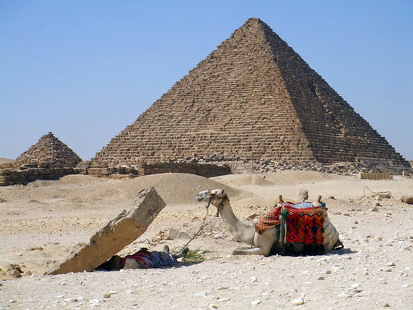 そりゃ暑いよね