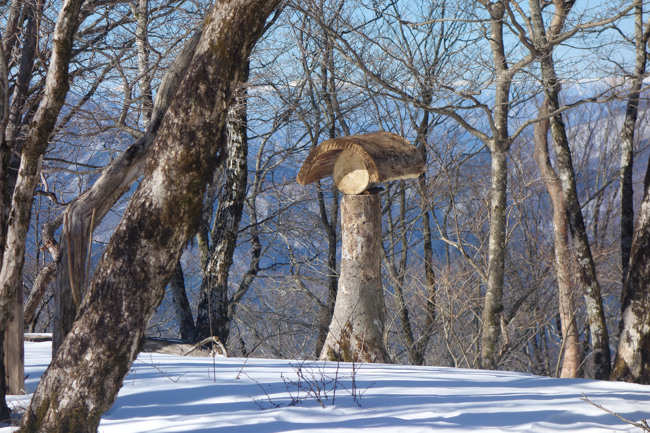 西丹沢大室山の冬-11